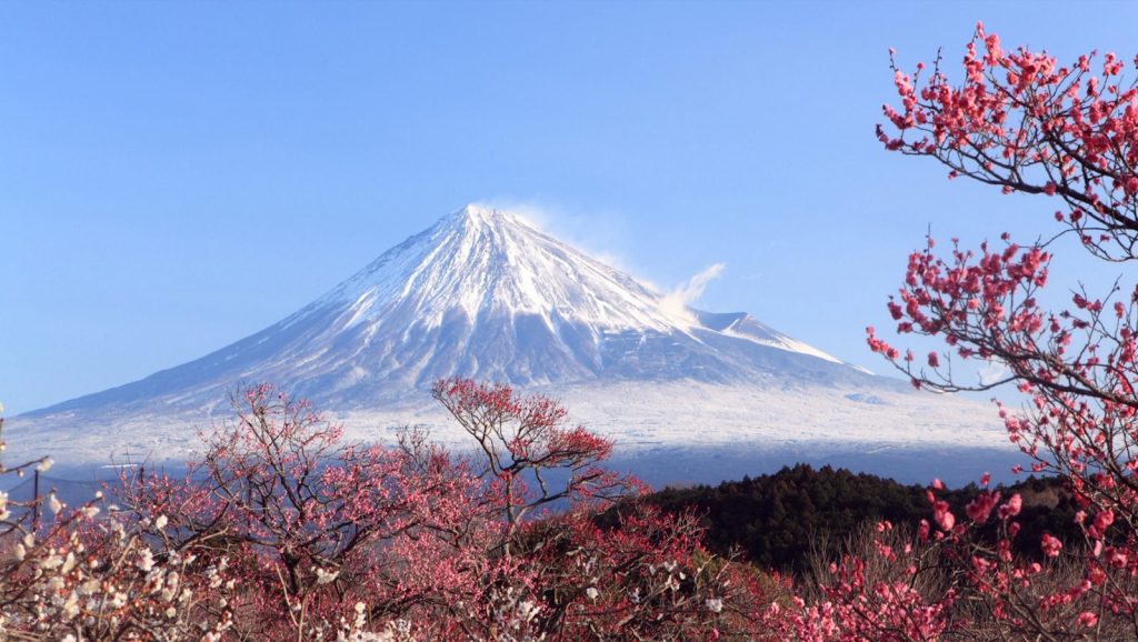 Mount Fuji