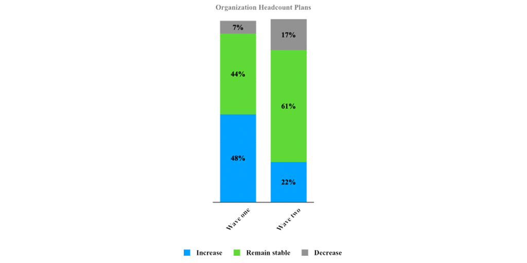 Organization Headcount Plans