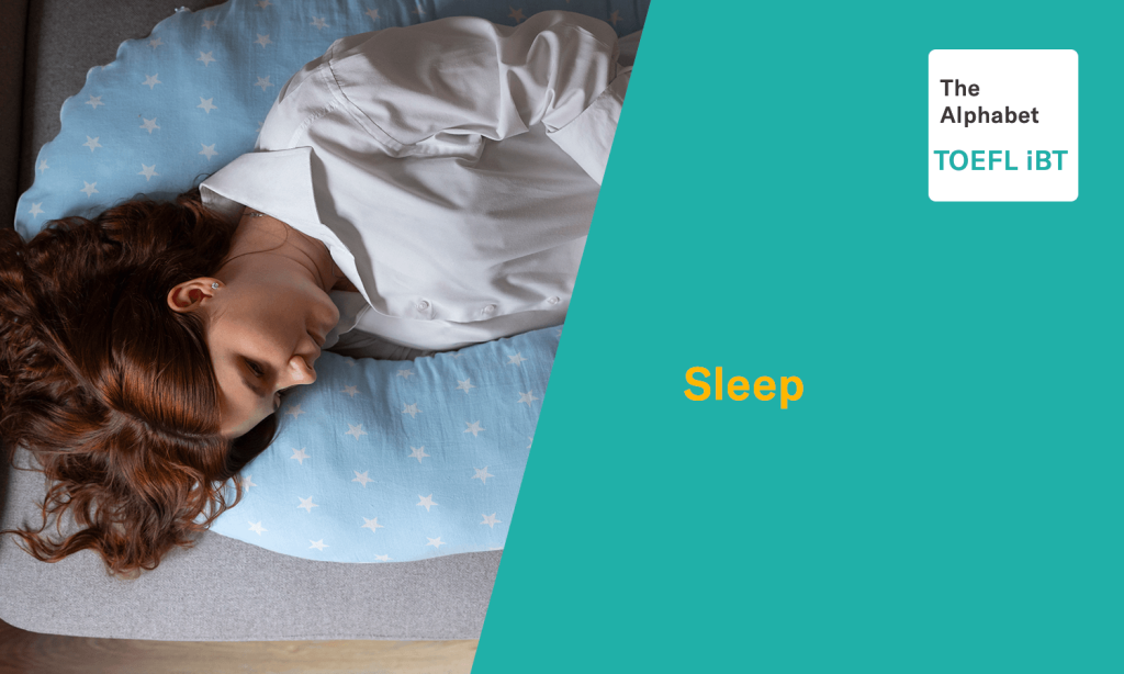 The Role of Sleep in Preventing Catastrophic Forgetting